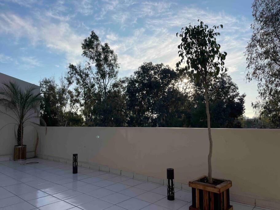 Otay Studio Great Patio Near Otay Crossing & Airport ティファナ エクステリア 写真